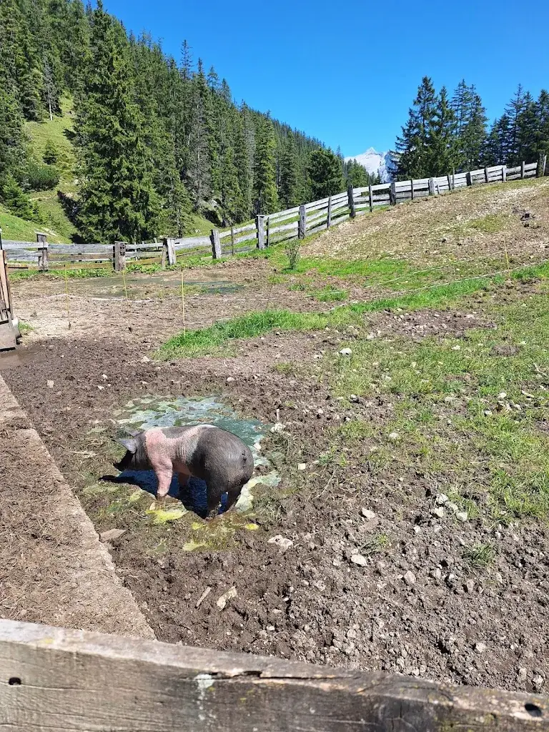 Michael Laun_Oberbrunn Alm_Scharnitz_Bewertung