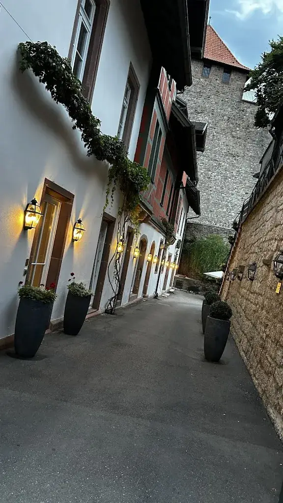 Rob Tomlinson_Schloss Eberstein_Eberstein_avis