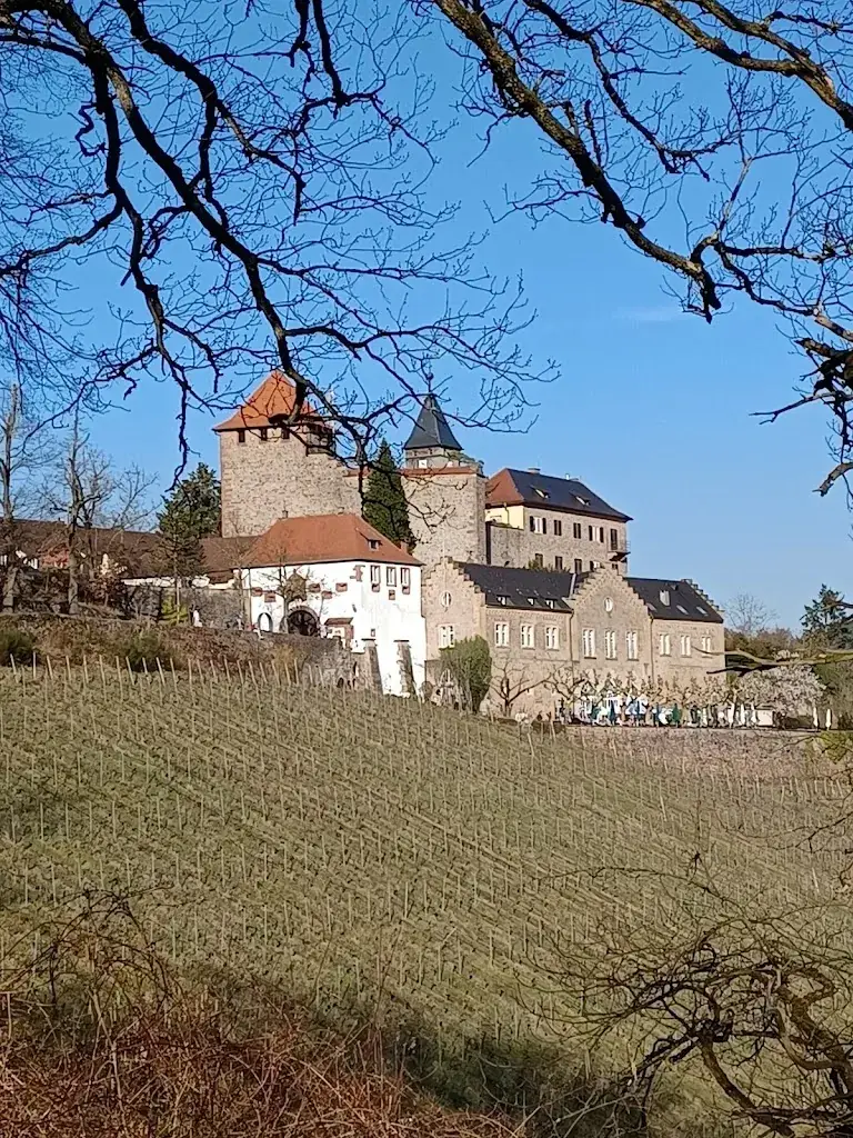 Jenn Vest_Schloss Eberstein_Eberstein_avis