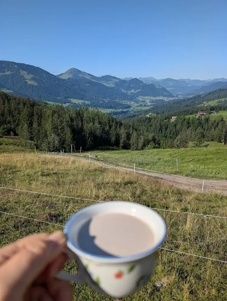 Silvana on tour_Hinterschießlingalm_Scheffau am Wilden Kaiser_review