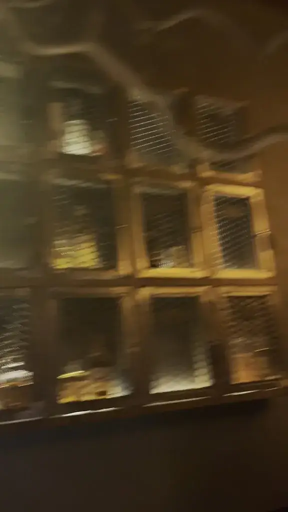 Vickii Dass_MASARU_Rum_review