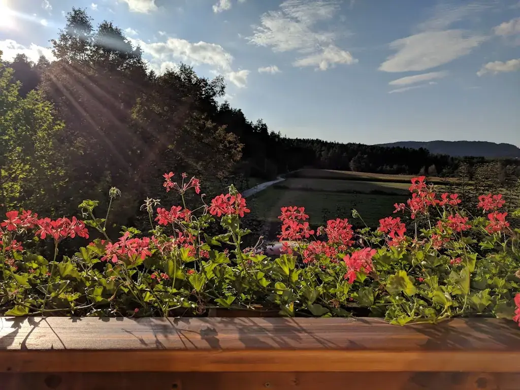 Anis Dada_Sablatnighof Gasthof-Pension_Eberndorf_avis