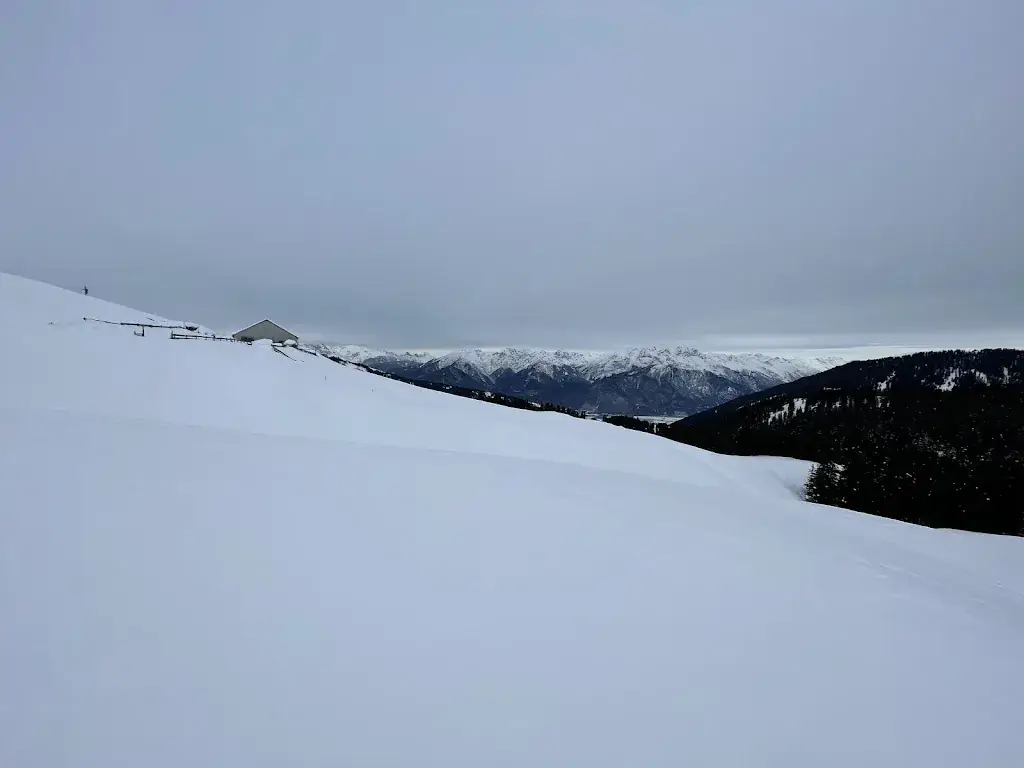 P K_Saigis Alm_Sellrain_avis