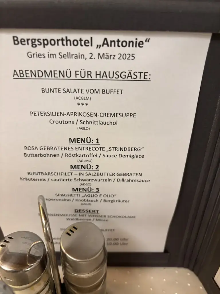 Loredana Craznic_Bergsporthotel Antonie_Sellrain_review