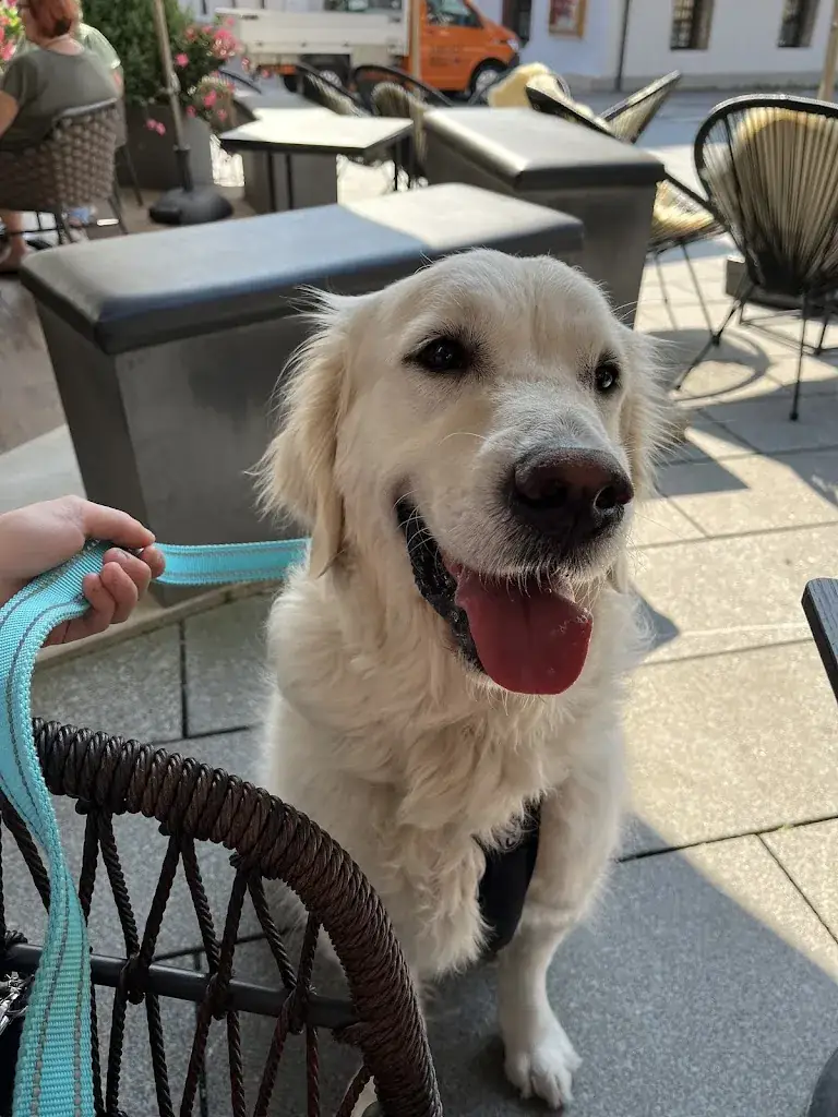 Ville Makkonen_Die Krummerei Restaurant und Dorfappartements_Söll_review