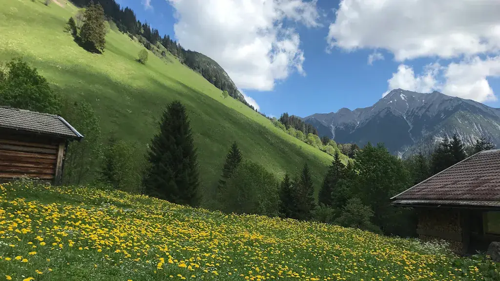 Michl‘s Fallerscheinstube_Stanzach_slider_image_3