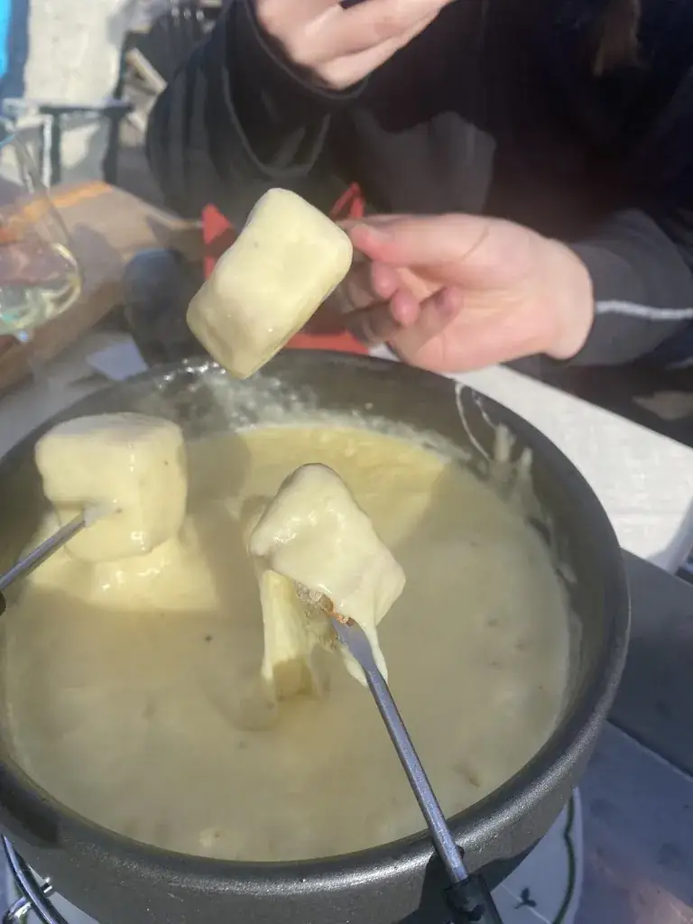 Mårten Widlund_Almwirtschaft Gampe Thaya_Sölden_review