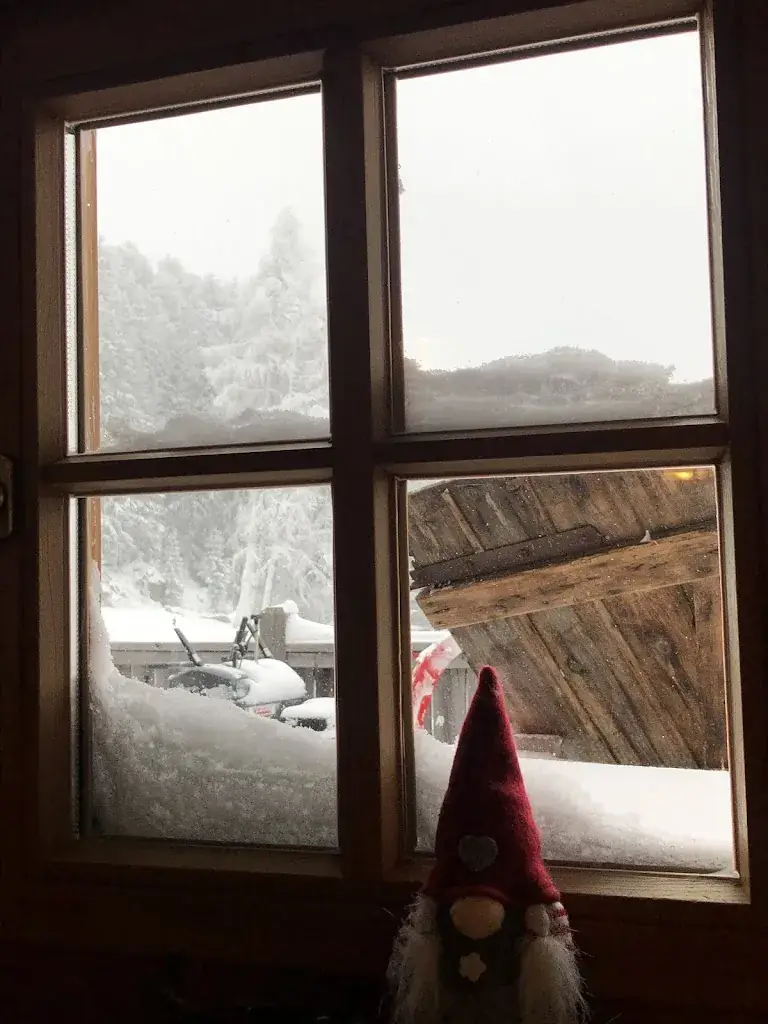 David_Stallwies Alm_Sölden_avis