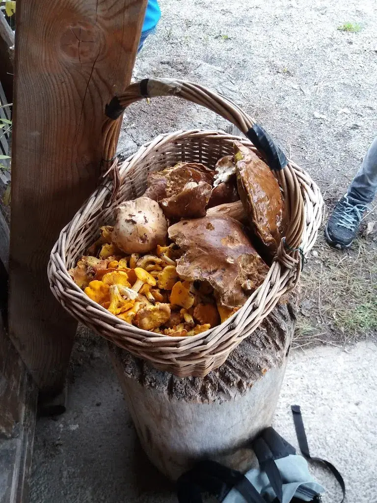 Menu_Hotel Trinserhof_Trins_immagine_7