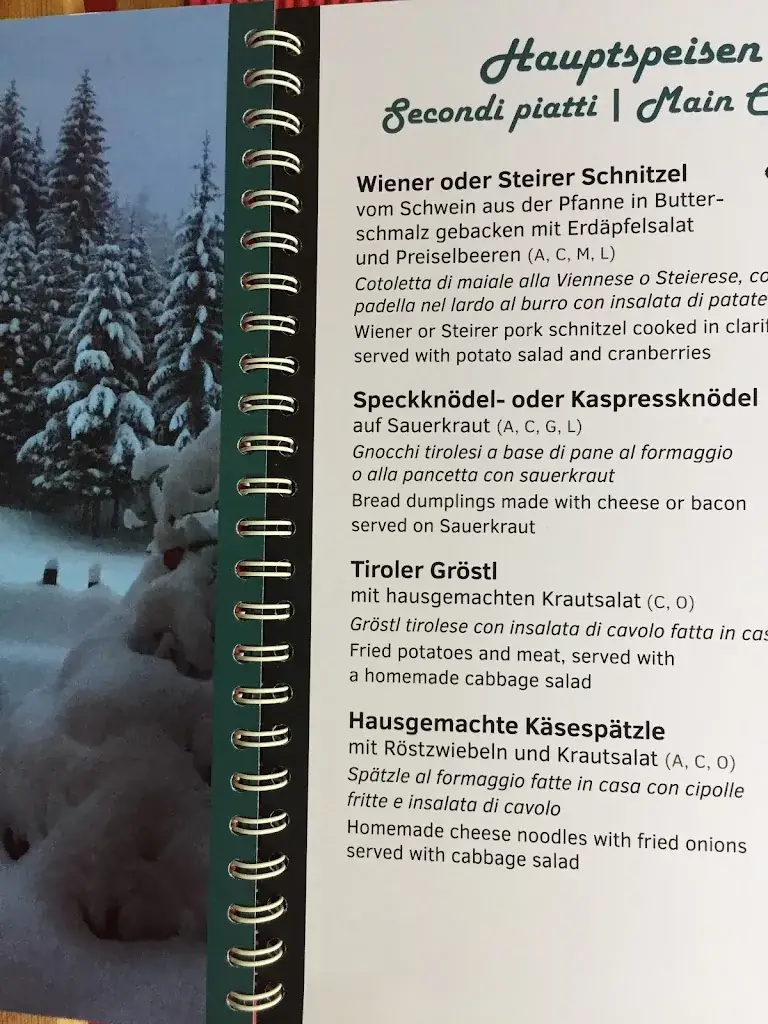 Menu_Jausenstation Pumafalle & Ferienwohnung_Trins_image_3