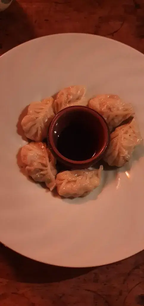 Dita Roushdy_Zai _Strassen_review