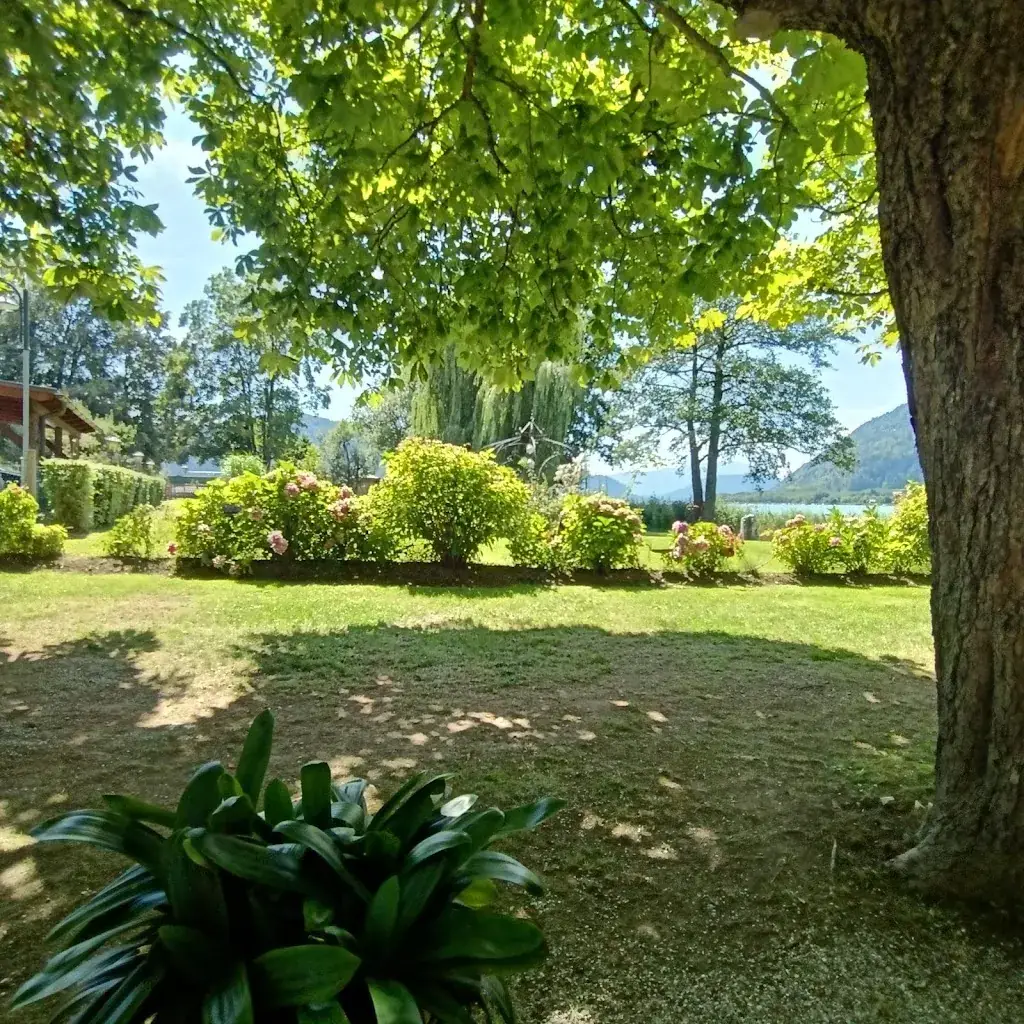 Alice Zin _Restaurant Seewirt am Ossiachersee_Bodensdorf_review