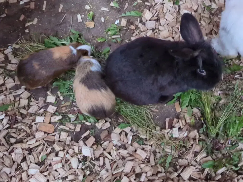 April T_Hotel Jäger Tux_Tux_review