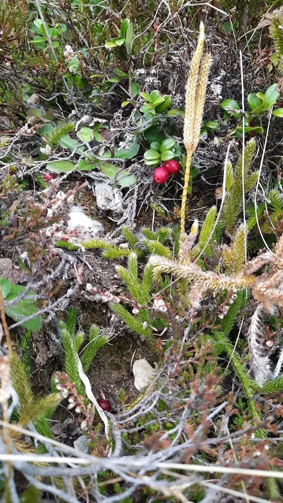 Petr Holodňák_Berggasthaus Eggalm_Tux_Bewertung