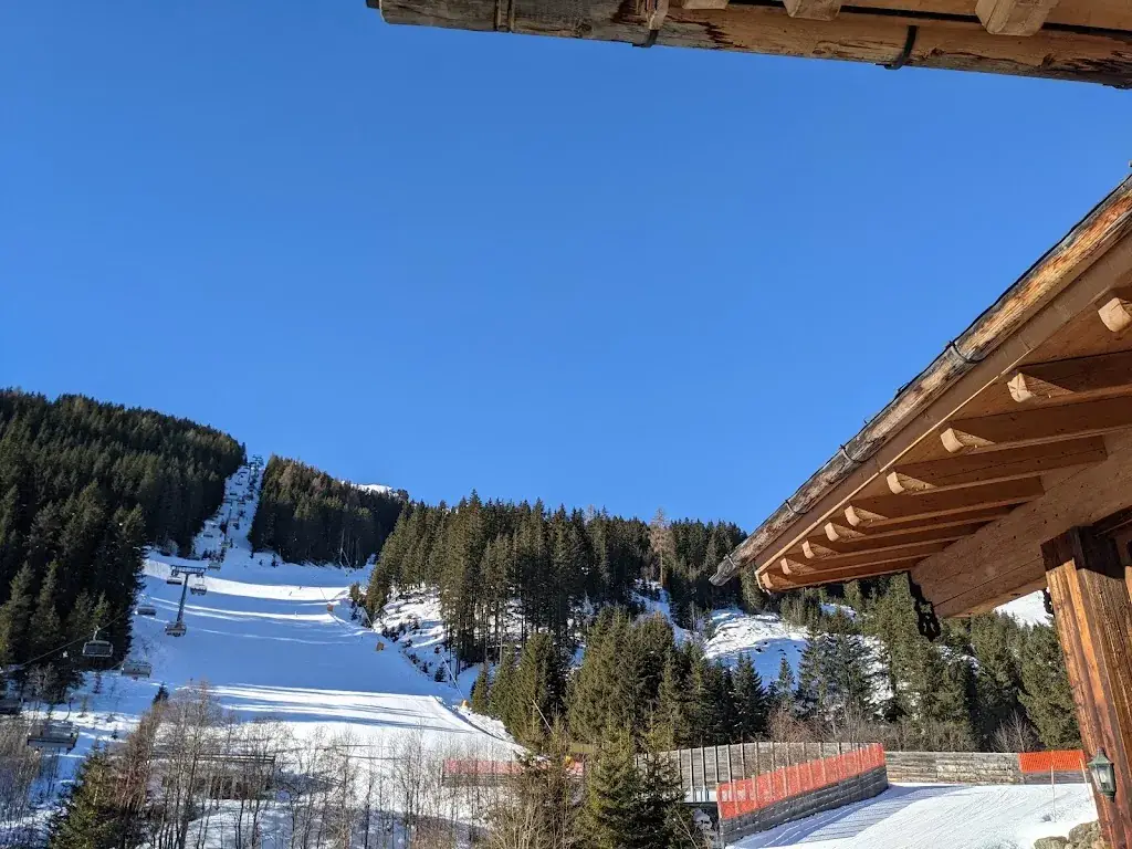 James Bacon_Vogelnest_Tux_avis