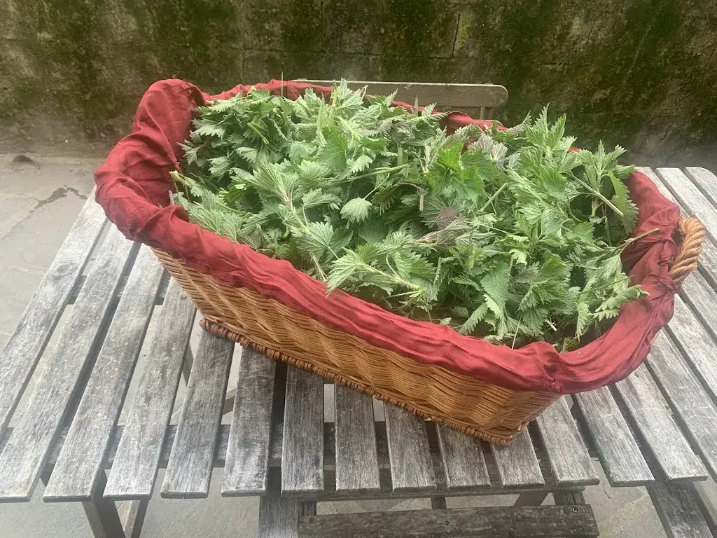 Menu_Alter Fausthof_Völs_immagine_4