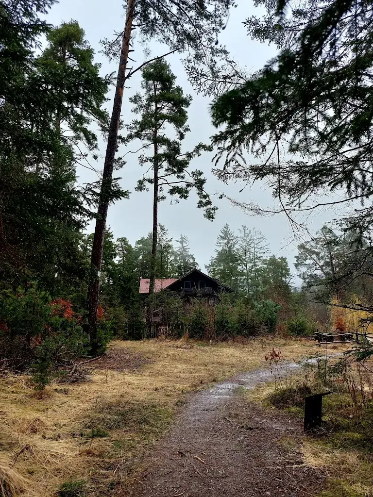 Andrés García_Altes Gasthaus am Weiher_Völs_review