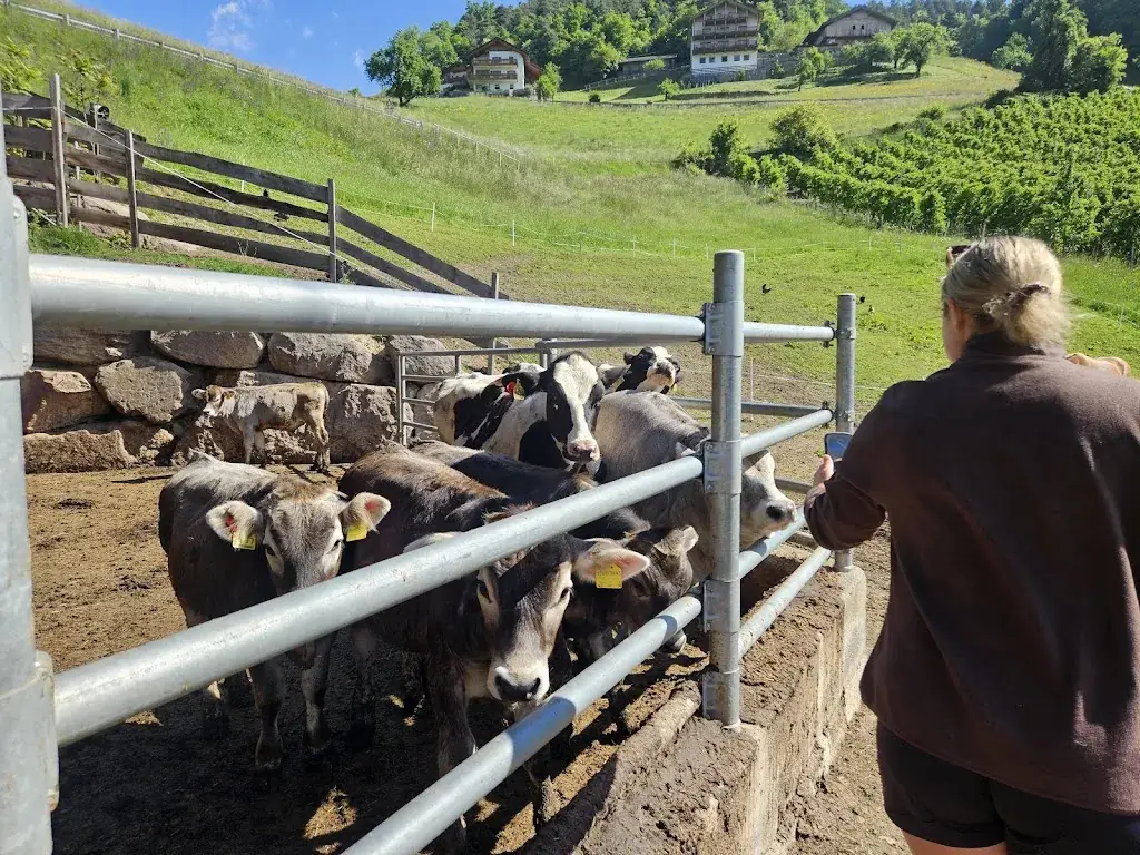 juliette smart_Guntschoellerhof_Völs_review