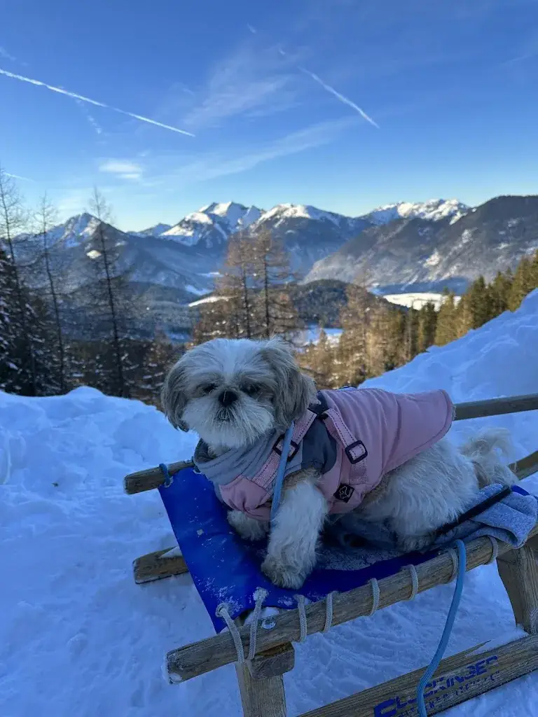 Jenny_Kala Alm_Vorderthiersee_recensione