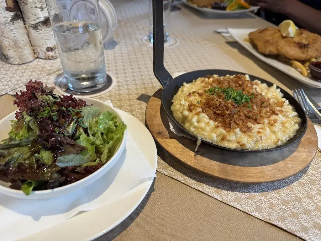 Aimée Dijkema - Timmer_Alpengasthaus Oberweissbach_Waidring_recensione