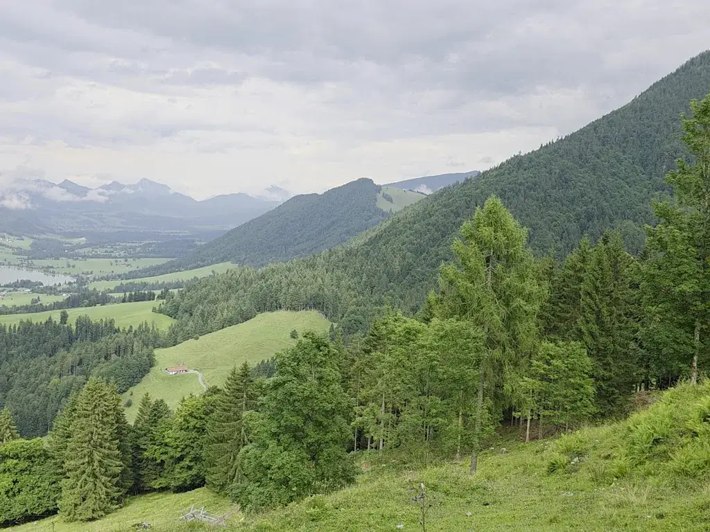 Thomas Kennel_Zahmer Kaiser Restaurant_Walchsee_review