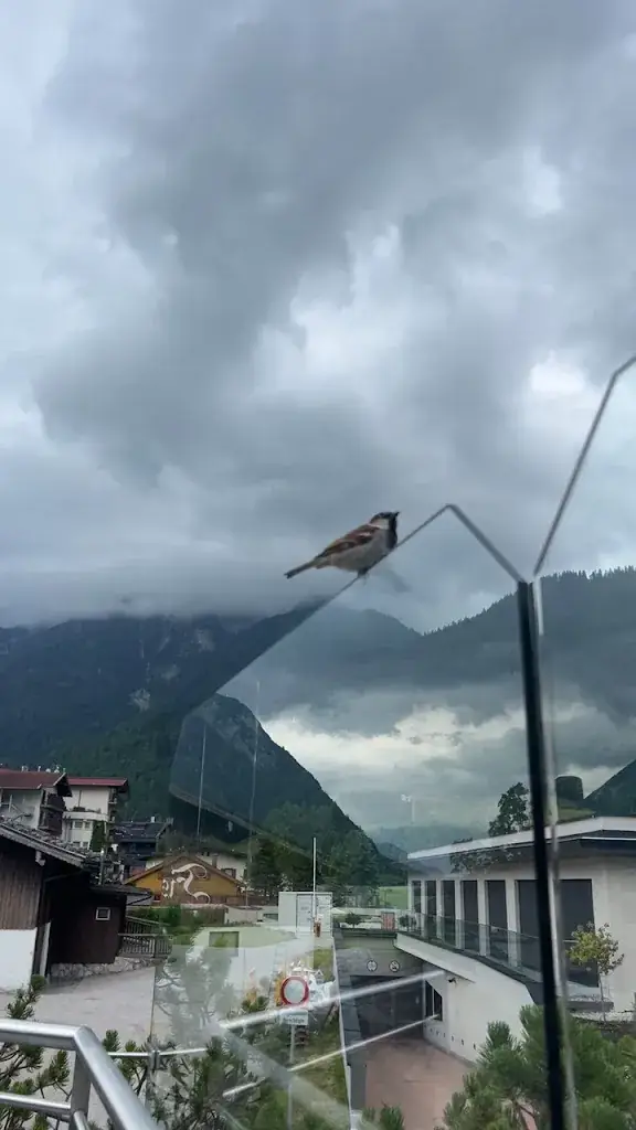 ahmed almusallam_Panoramarestaurant Kanzelkehre_Wiesing_review