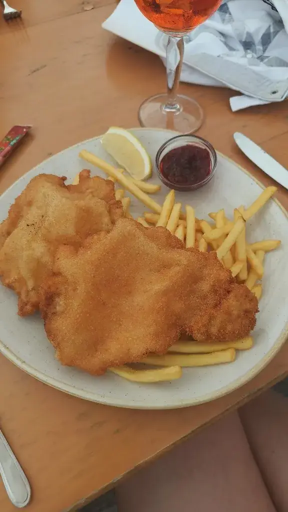 Nin_Berggasthof Schatzbergalm_Wildschönau_reseña