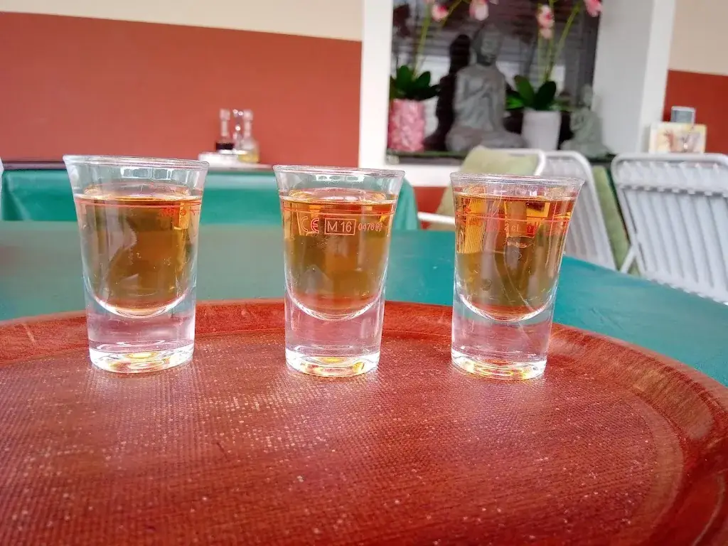 Menu_Asiarestaurant Wang Fu_Zirl_image_9