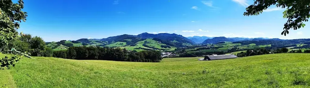 Zoltán Dankó_Gasthaus Hohe Linde_Adlwang_review