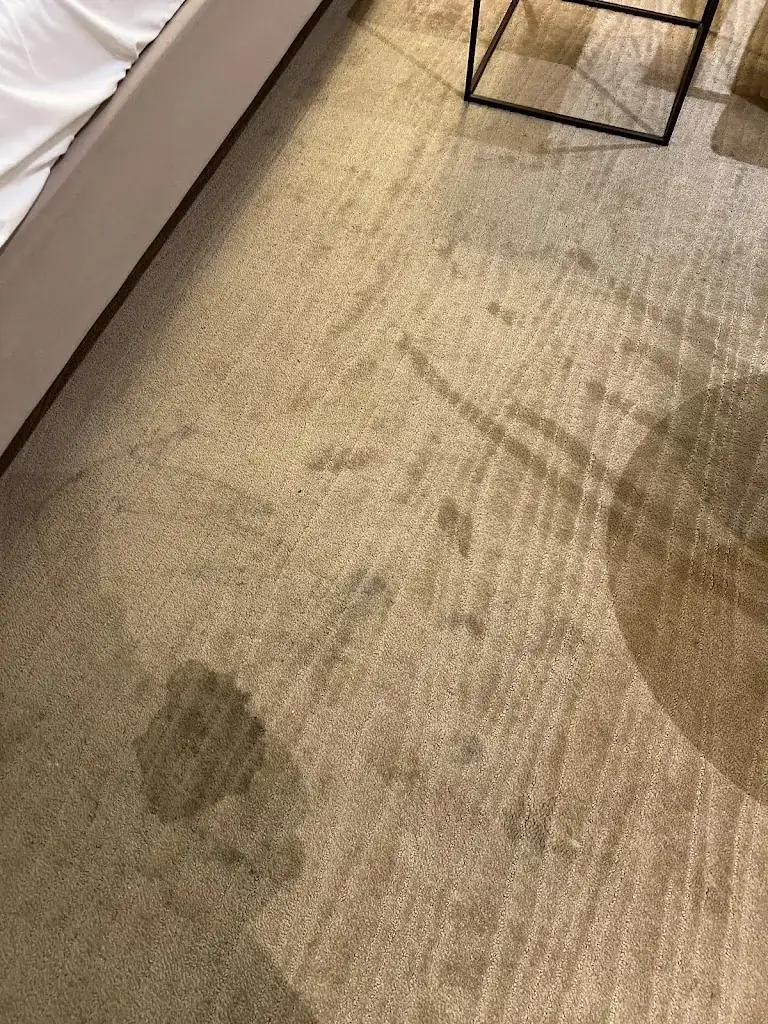 Joseph Mendez_Hotel Schillerpark Linz, a member of Radisson Individuals_Abwinden_avis