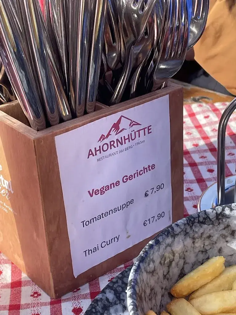 Maya Schaap_AHORNHÜTTE AHORNLODGE MAYRHOFEN_Ahorn_avis