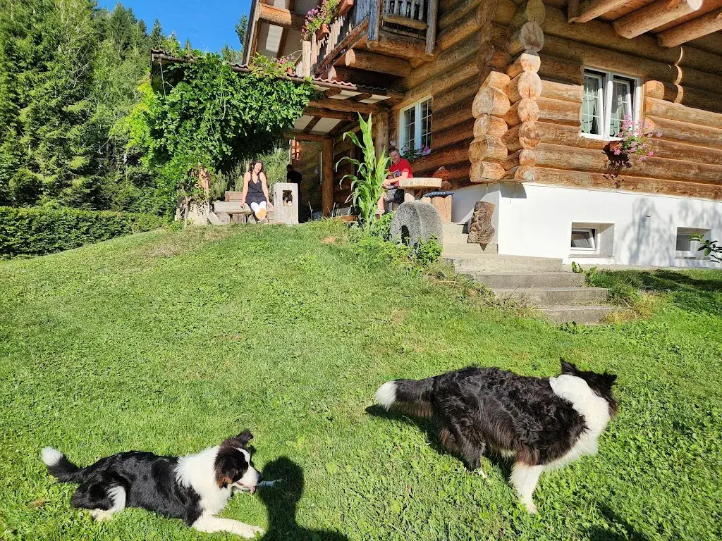 Joao Vitor_Chalet le Dorf_Feistritz an der Gail_review