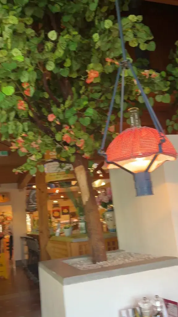 Alina N_Landzeit Aistersheim_Aistersheim_avis