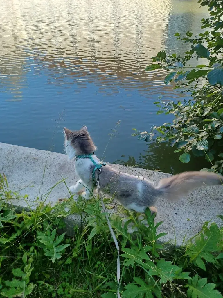 Lize Grimbeek_Aistersheim Castle_Aistersheim_recensione