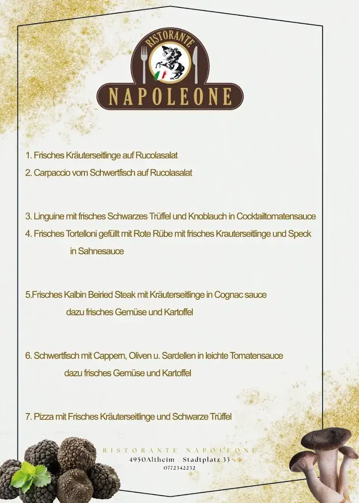Menu_Ristorante, Pizzeria, Hotel NAPOLEONE_Altheim_immagine_1