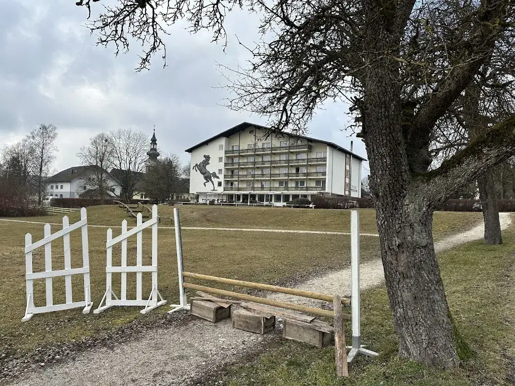 Martin K._Hotel Reitzentrum Hausruckhof_Ampflwang_review