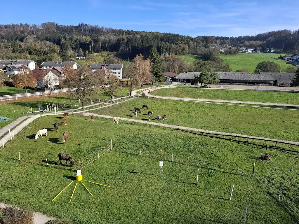 Barbara Steinbrecher_Hotel Reitzentrum Hausruckhof_Ampflwang_review