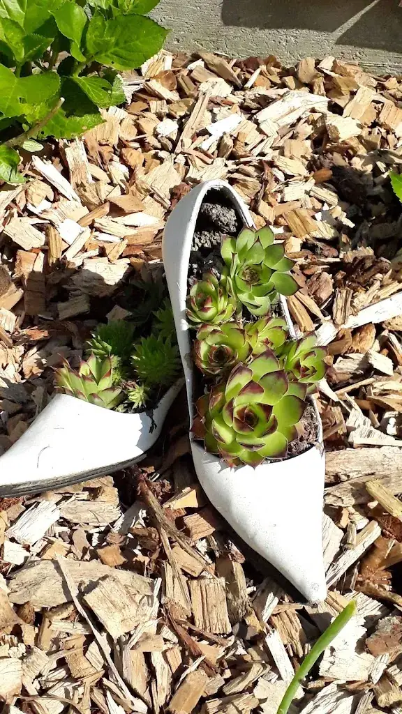 Menu_Preuner Wirt_Ampflwang_image_2