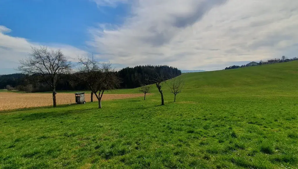 Helmut Lipetschnig_Wirt in der Rödt_Ampflwang_review