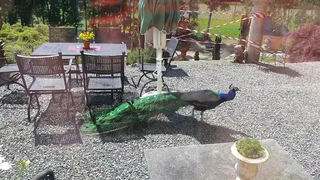 Schloss Schörgern_Andorf_slider_image_1