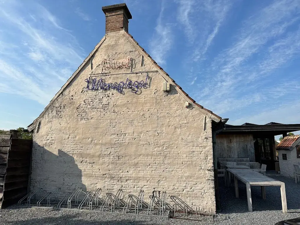 Véronique Balcaen_Uilenspiegel_Gavere_reseña