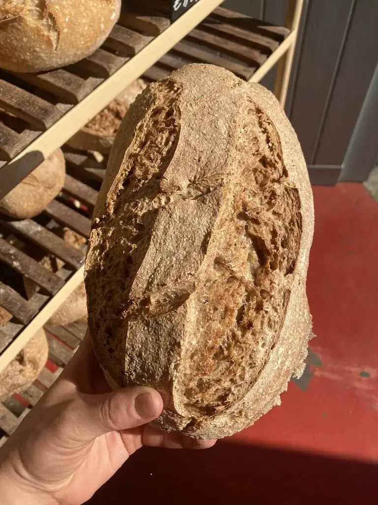 Menu_Quitapena_Gavere_image_1