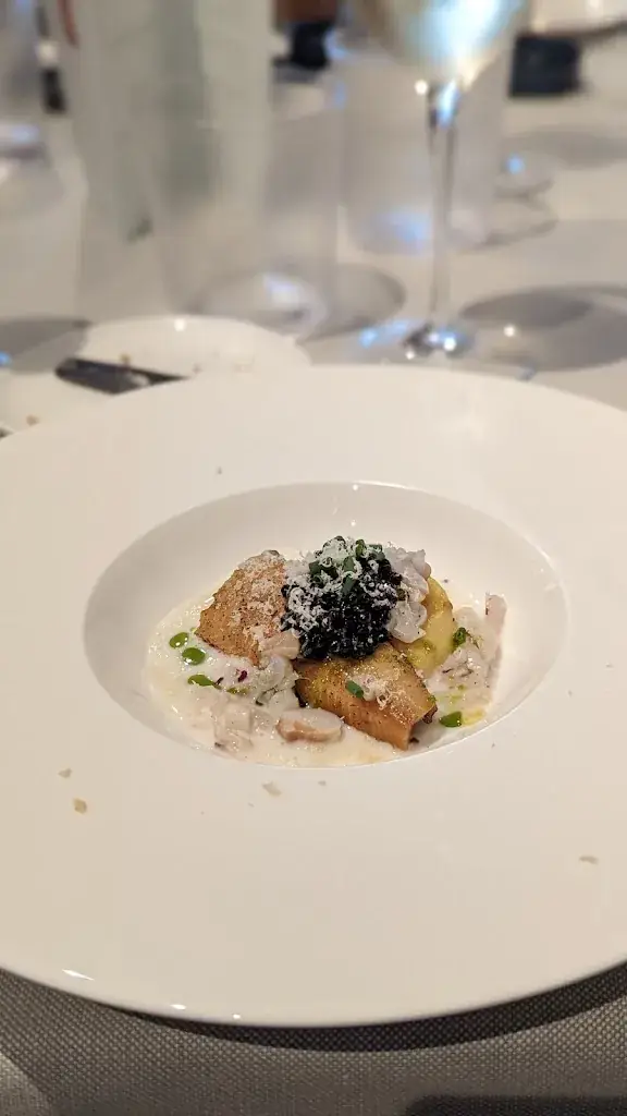 Maxim Monsecour_Zjalto_Geel_reseña