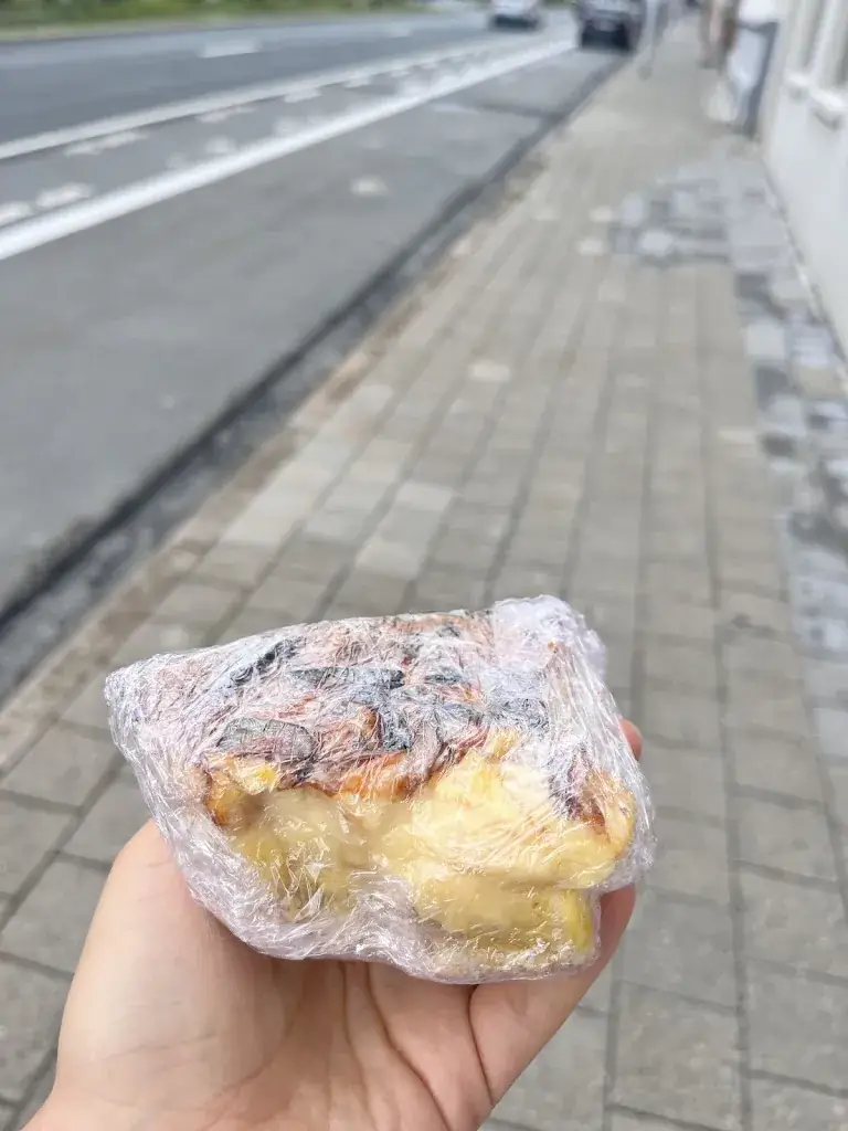 Cristina Lujerdean_Middenstandshuis_Eeklo_avis