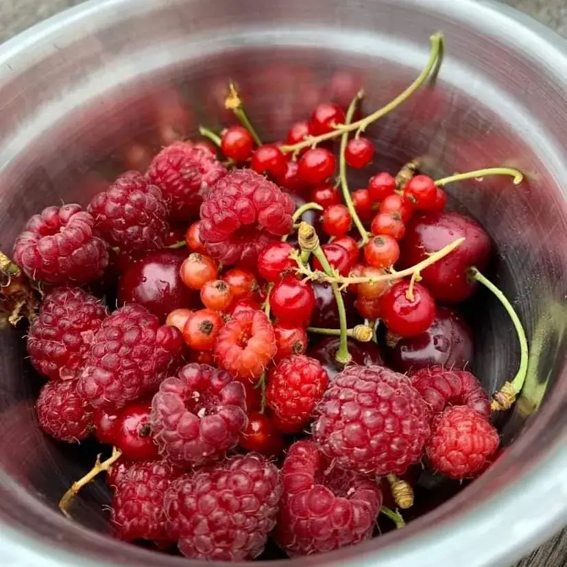 Menu_De tafel van acht_Eeklo_image_1