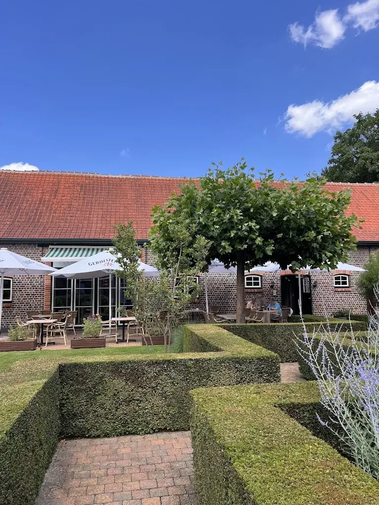 LC M (The curious one)_De Zandheuvel_Eeklo_review