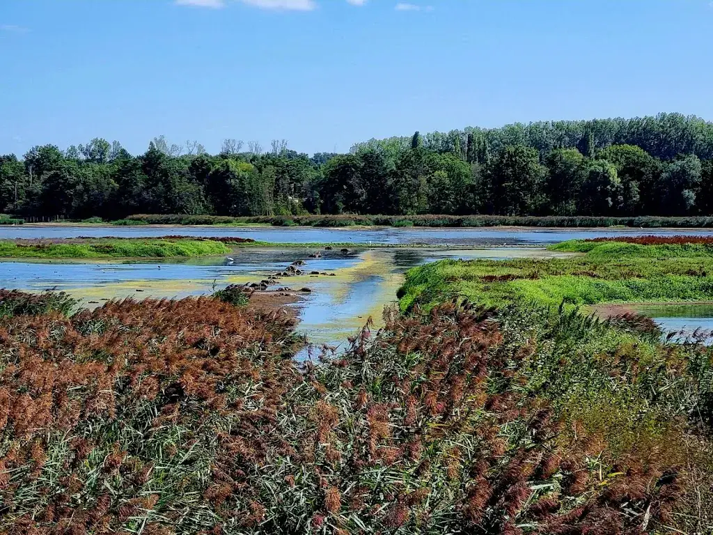 Bistro Het Vinne by Rux&Roll_Zoutleeuw_slider_image_3