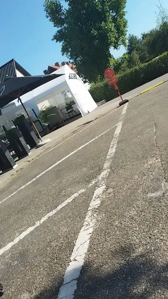 Stijn Appeltans_Kukina_Genk_review