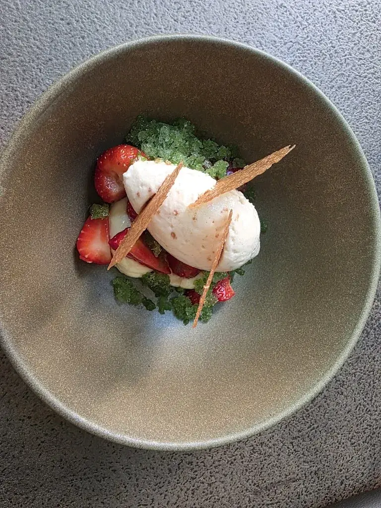 Catherine Shipley_Roots_Gent_Bewertung