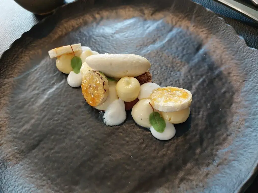 Dries Roekaerts_A Priori_Haaltert_review